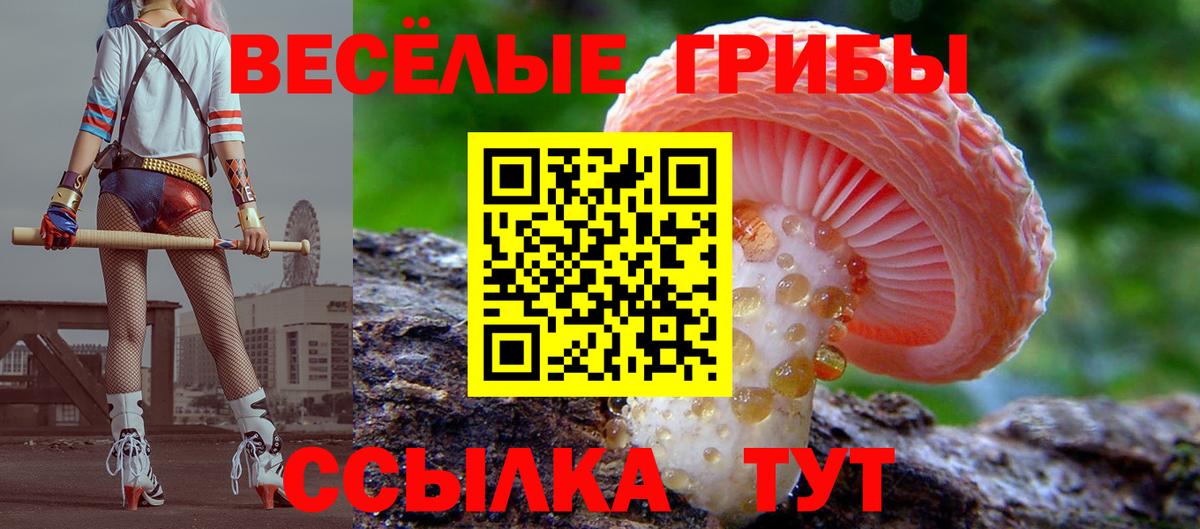 Галлюциногенные грибы Magic Shrooms  хочу   Ртищево  Вход с VPN 