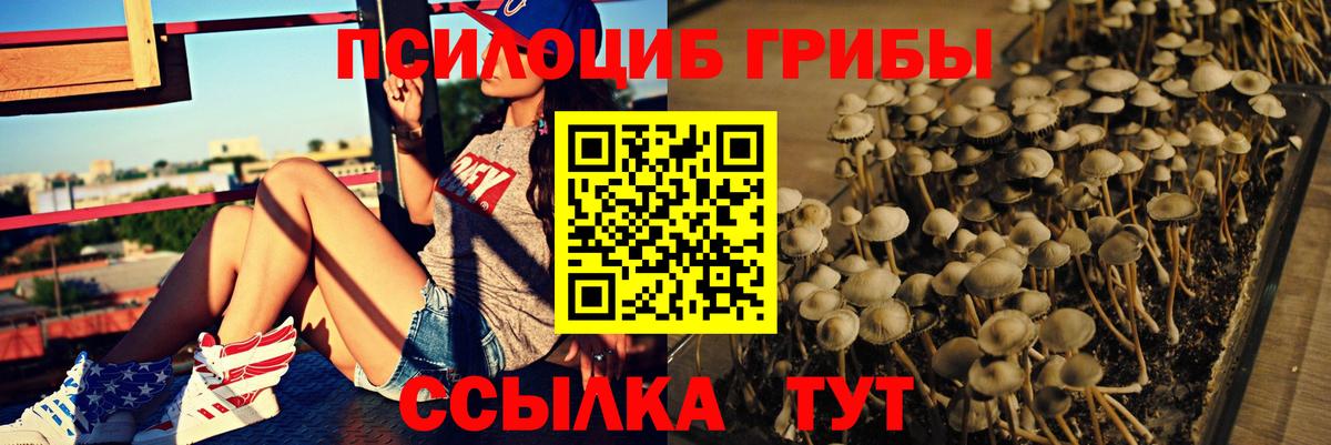 Галлюциногенные грибы мухоморы Ртищево